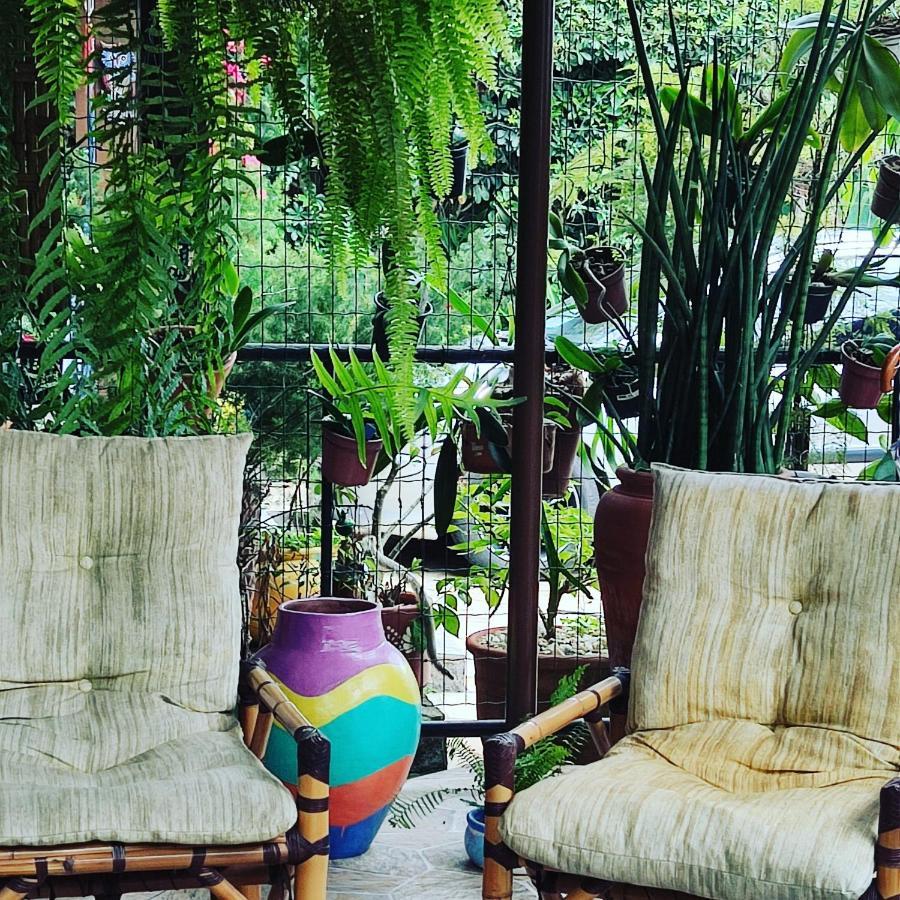 Recanto Toca Das Plantas De Ilhabela II Dış mekan fotoğraf