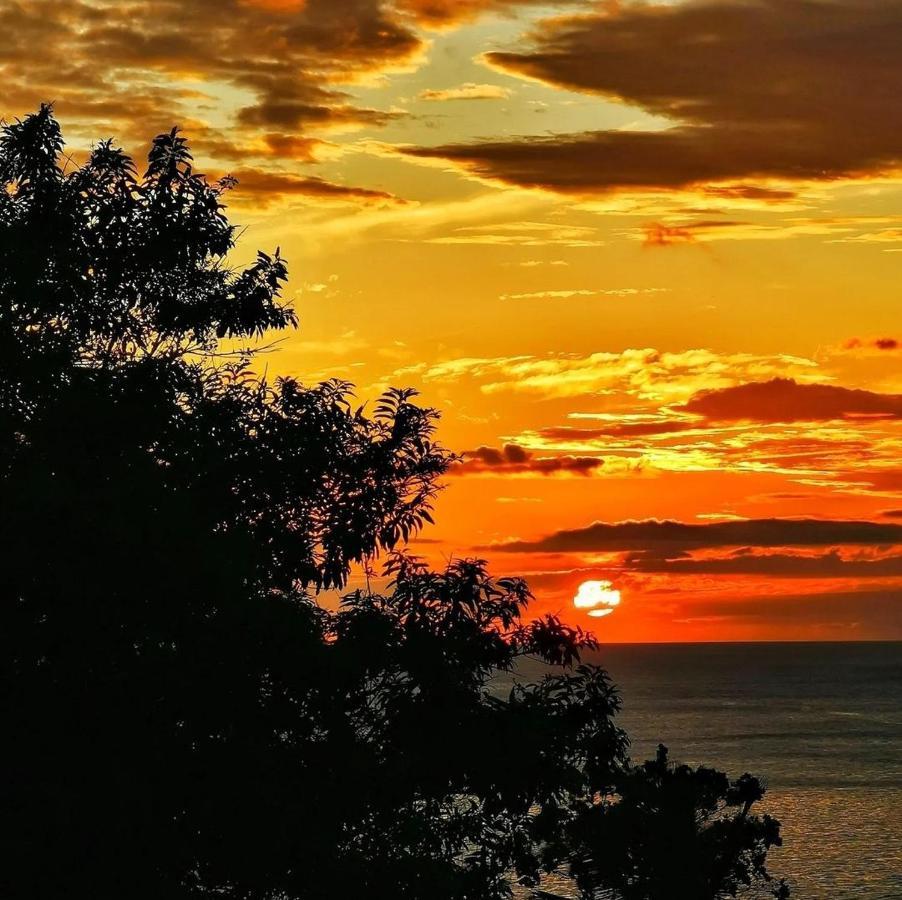 Recanto Toca Das Plantas De Ilhabela II Dış mekan fotoğraf