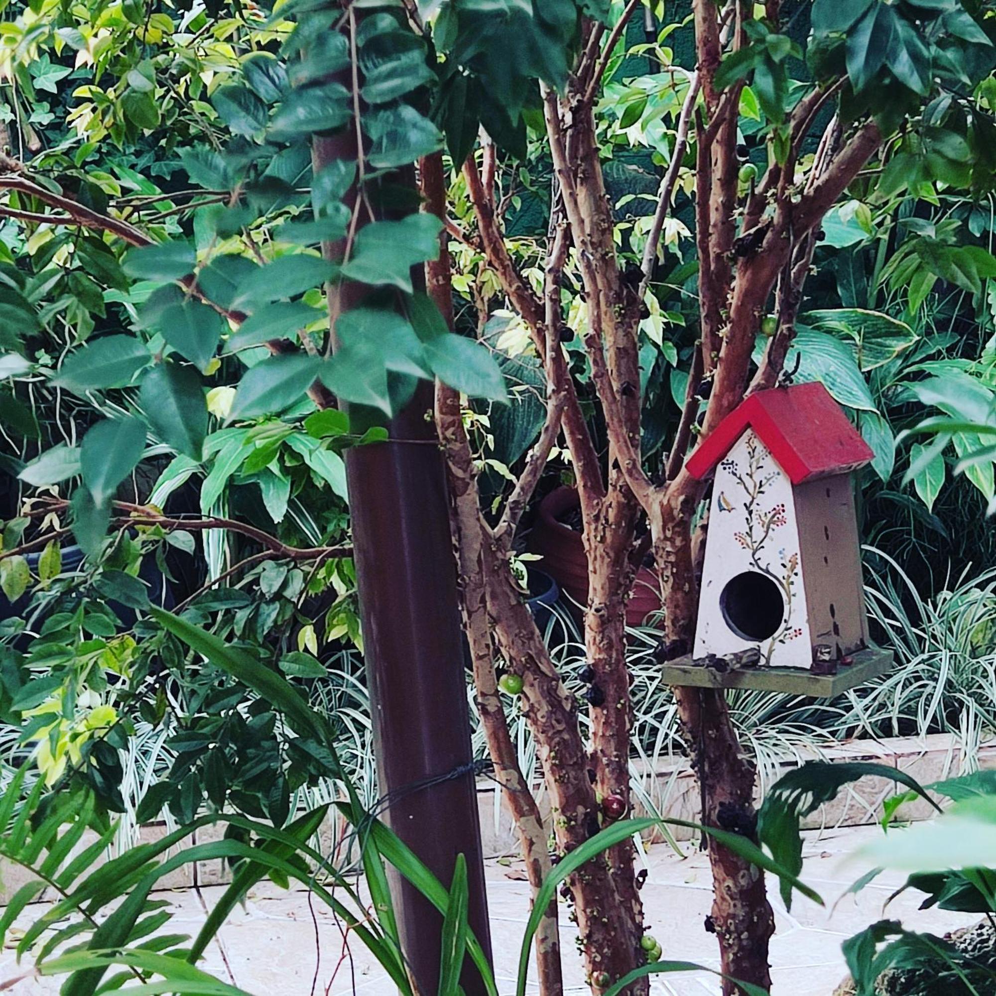 Recanto Toca Das Plantas De Ilhabela II Dış mekan fotoğraf