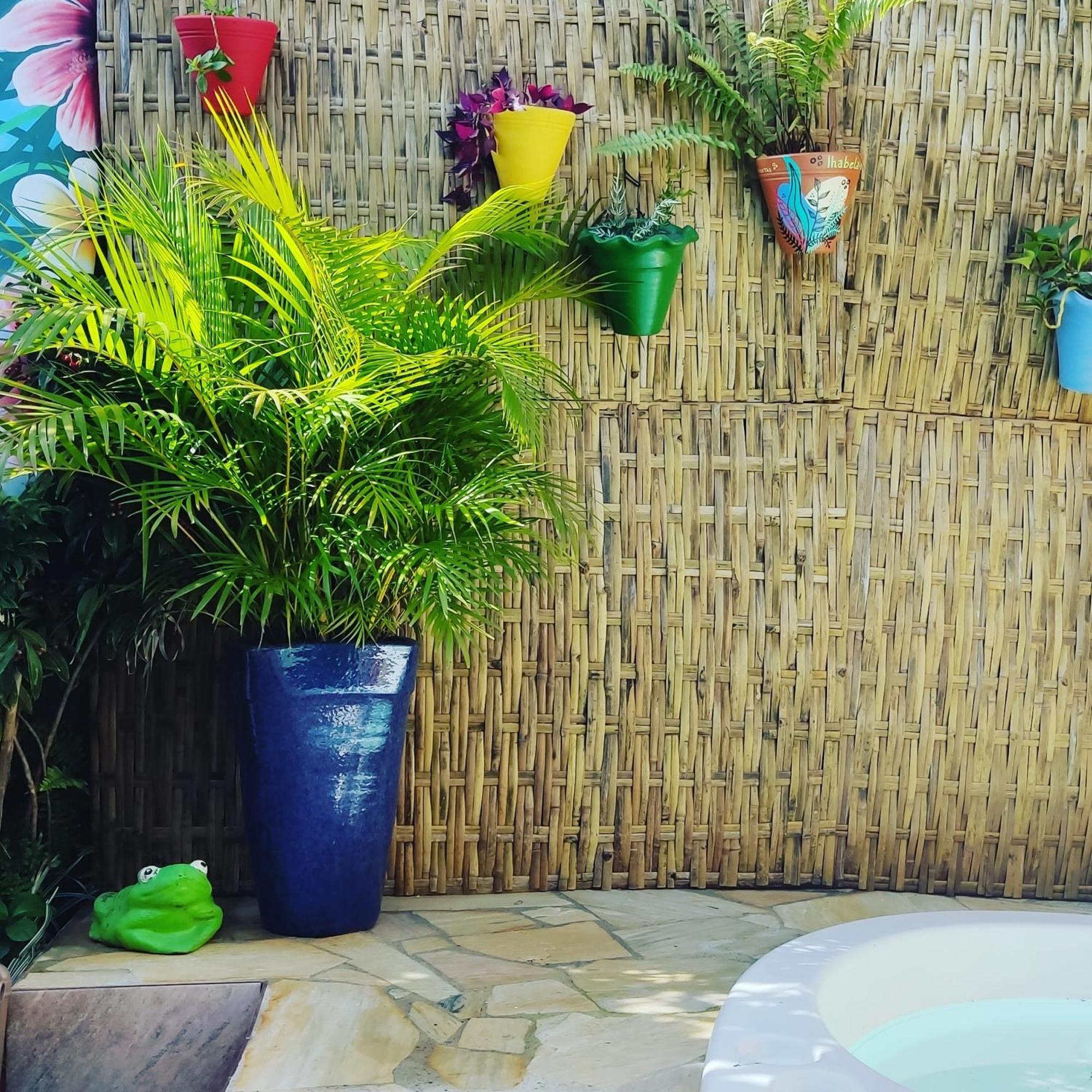 Recanto Toca Das Plantas De Ilhabela II Dış mekan fotoğraf